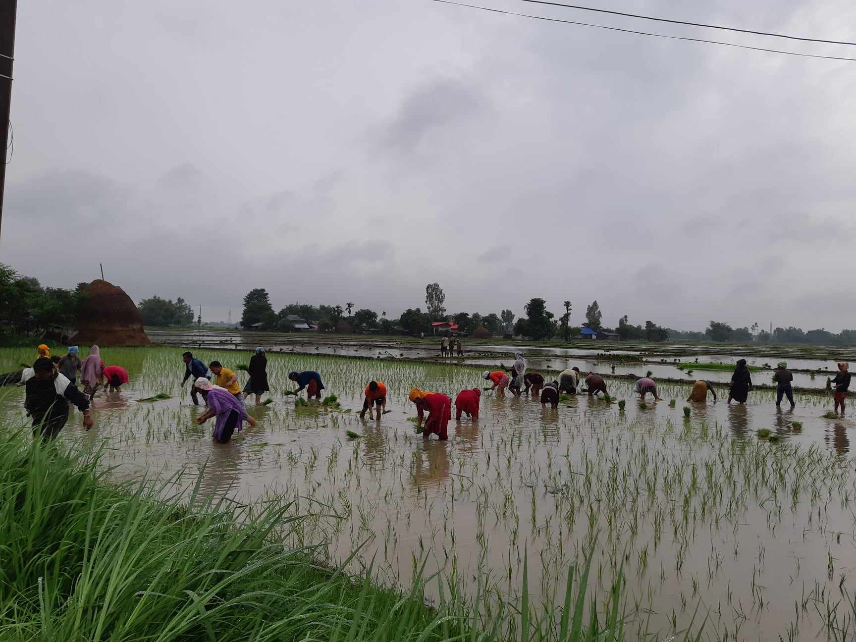 354047850_1046328349670661_242432489381450008_n