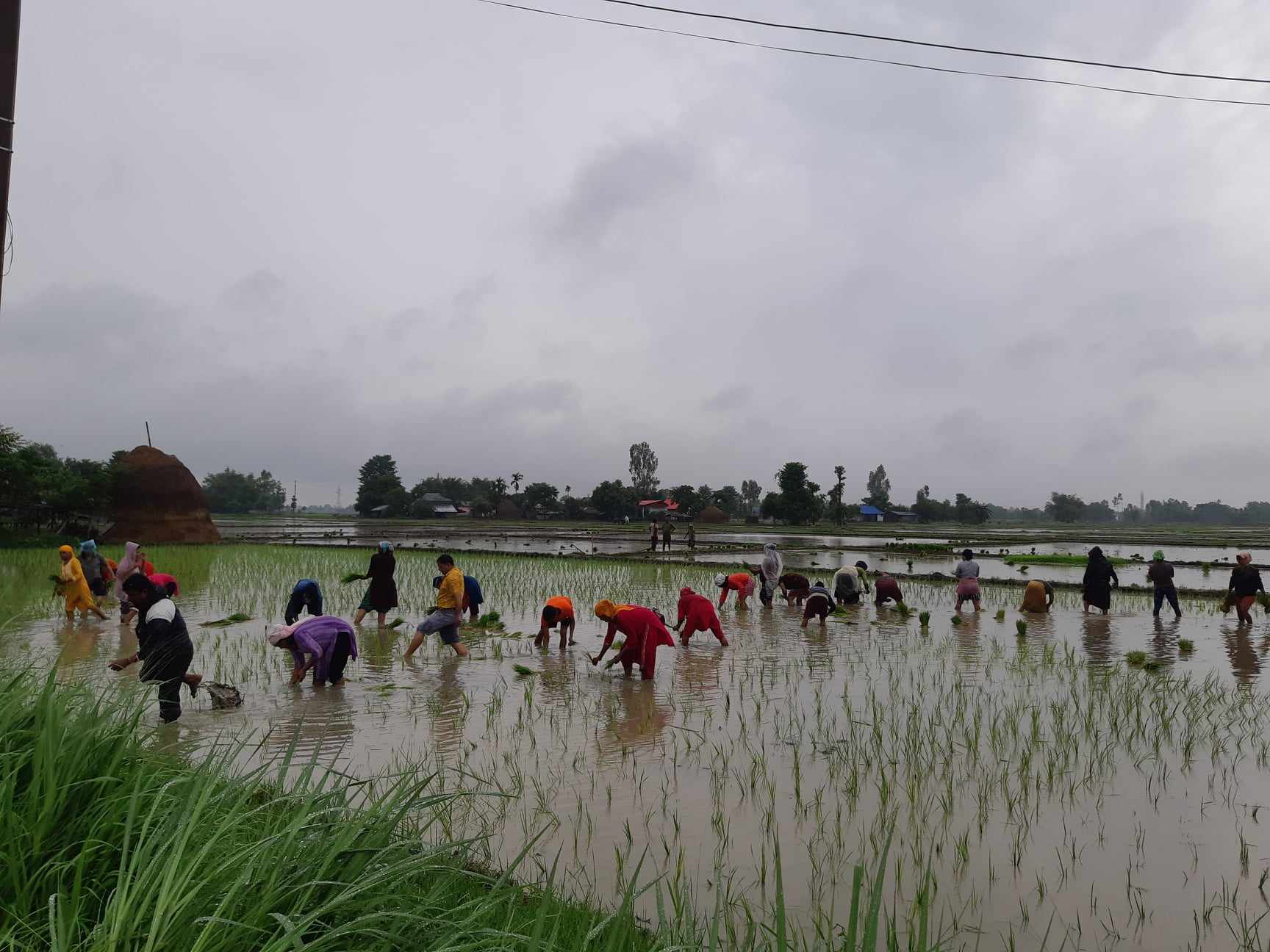 354066474_130415770076078_1284578139797677835_n